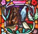 Local Wildlife, Dornoch Cathedral