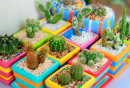 Cacti In Colorful Pots