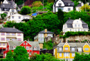 Housing Between Trees in Norwegian Bergen